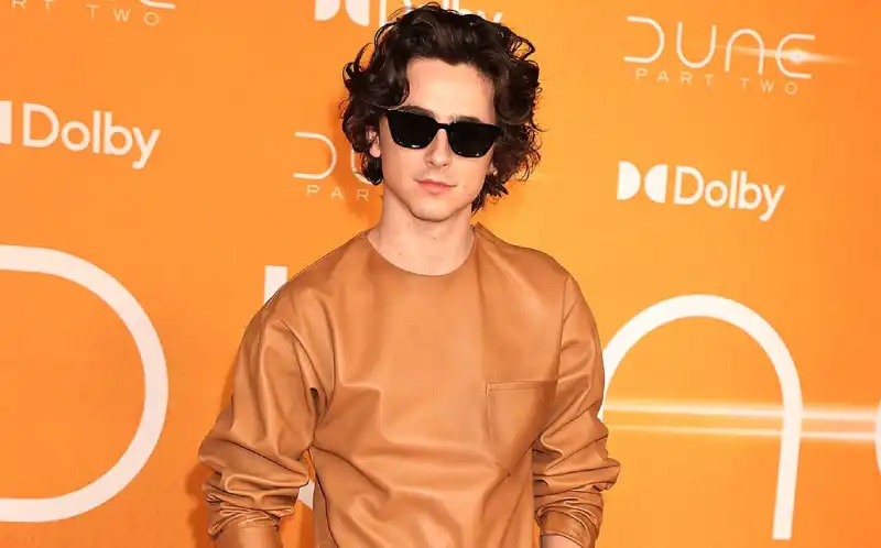 Timothée Chalamet